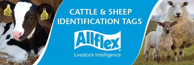 livestockidentification